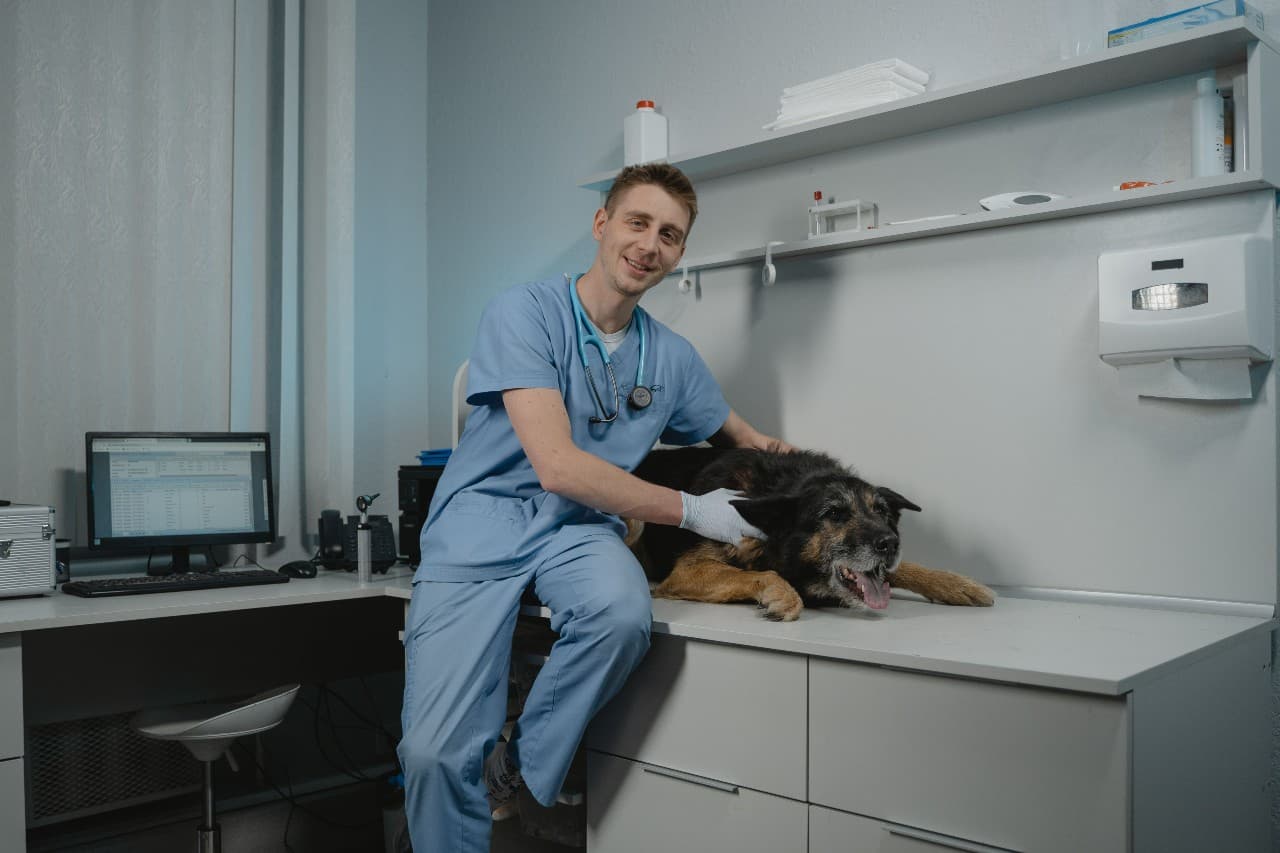 Veterinary Technician
