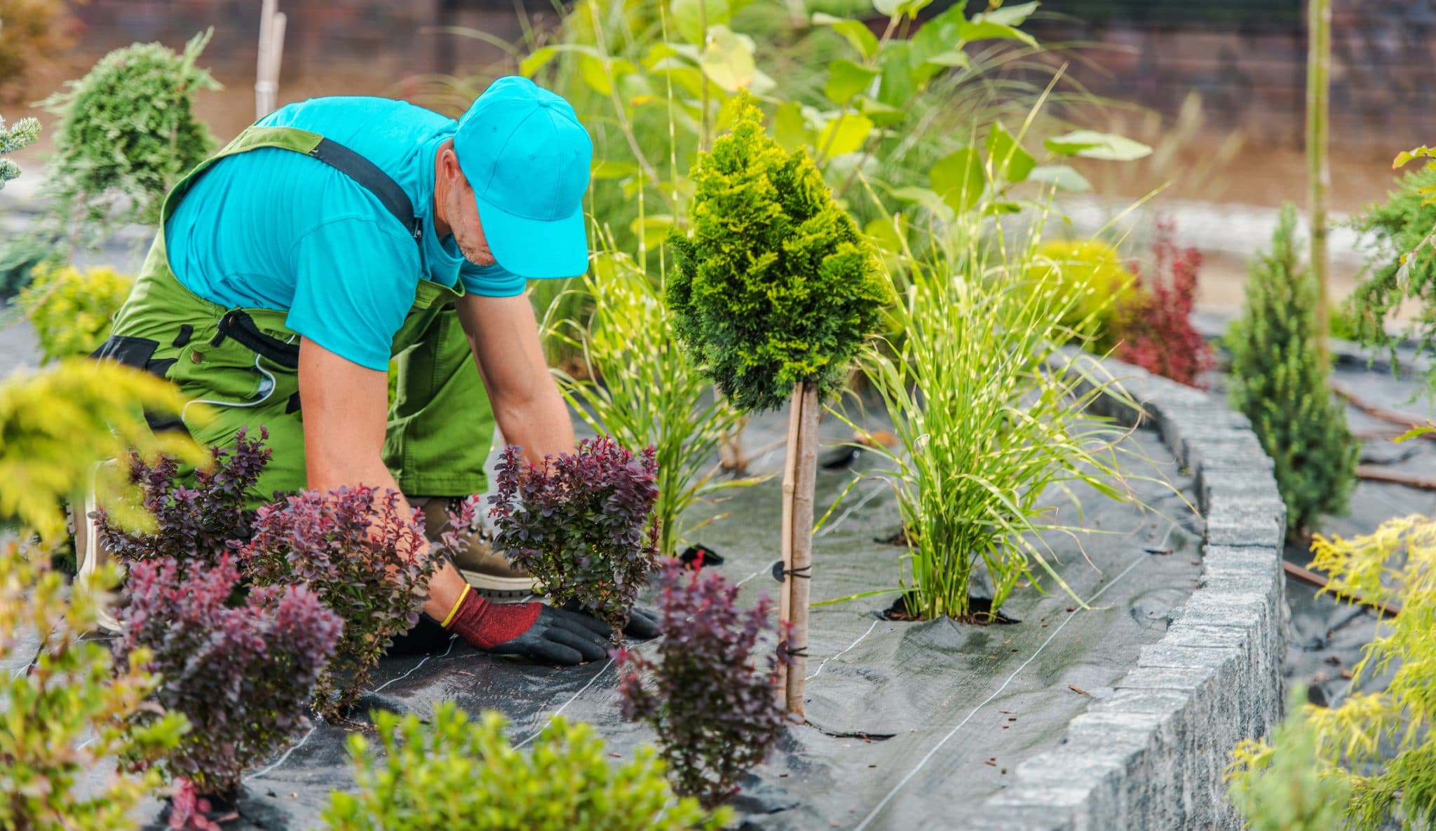 Landscaoer
